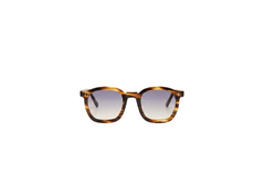 Striped Tortoiseshell — Front View