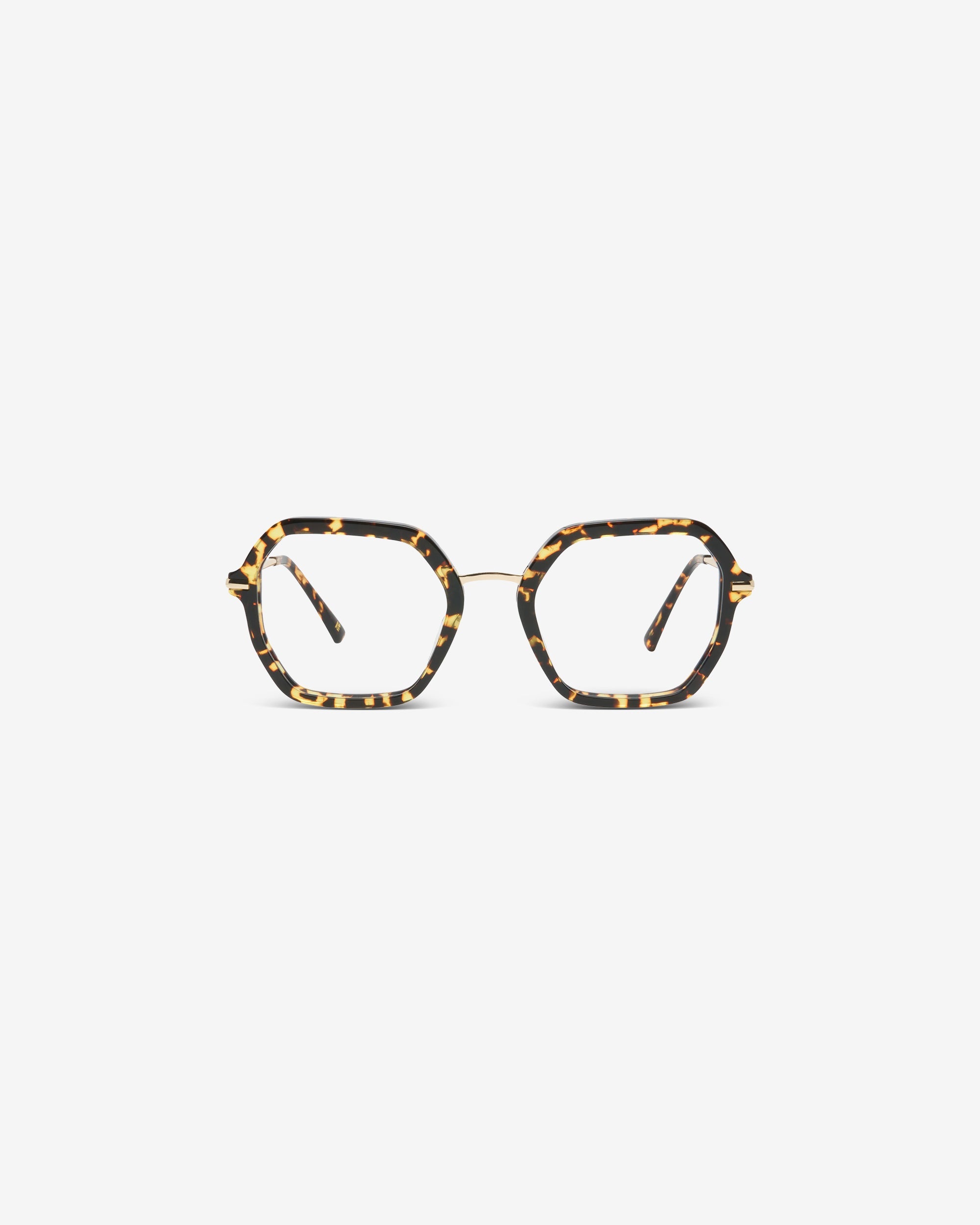 Megan Tortoise