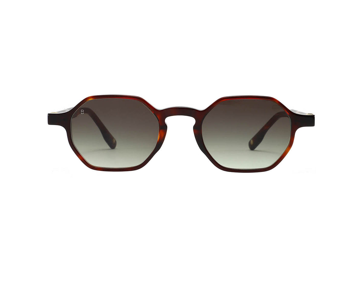 ONE SUN MARRON/VERRE VERT