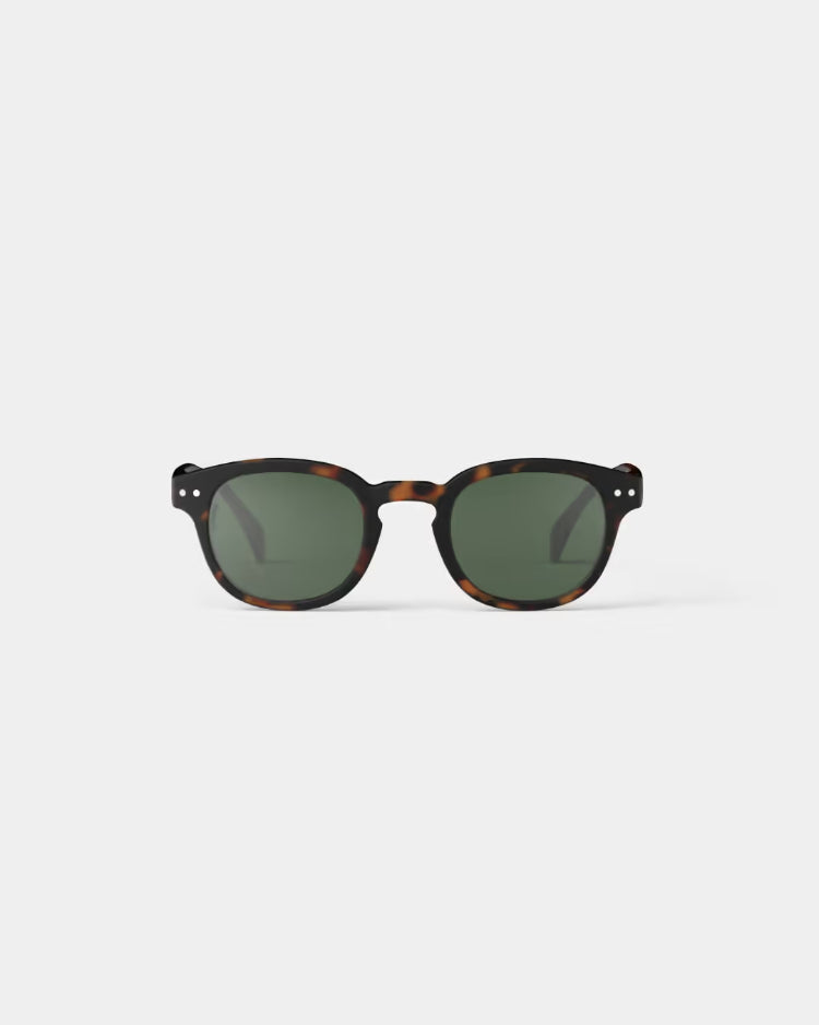 C Tortoise Polarized