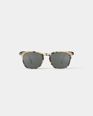 E Light Tortoise