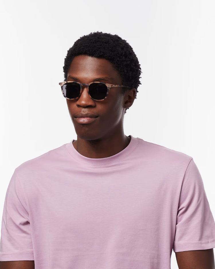 E Light Tortoise